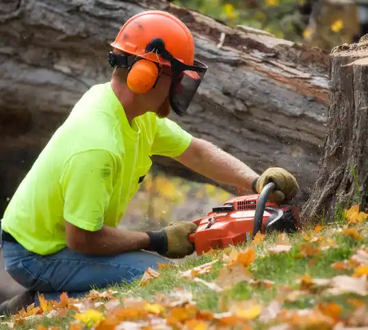 tree services South Rosemary